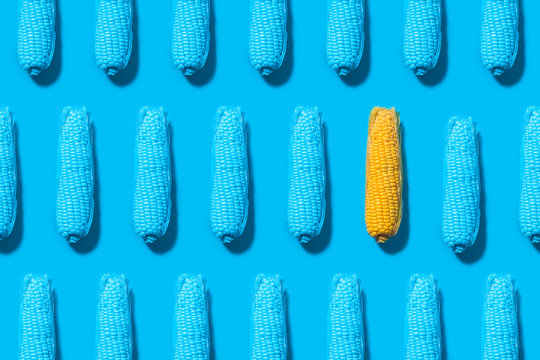 Pattern of rows of blue painted corns with single yellow one