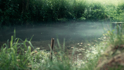 Smoke over the pond in the middle of the grass.