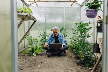 Senior man sitting in a greenhouse using laptop