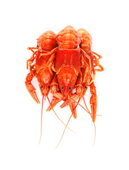 Delicious red boiled crayfishes isolated on white, top view