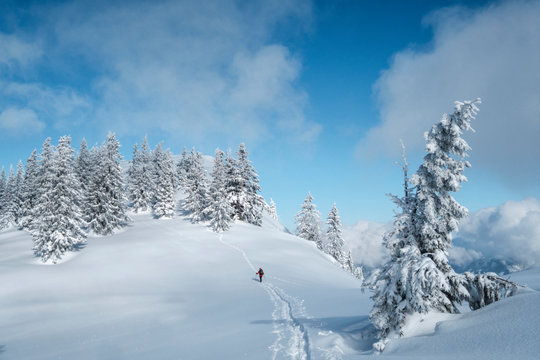 Senior man during ski tour, Inzell, Kienberg, Germany