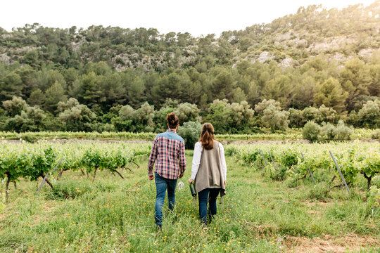 Couple walking at vineyard