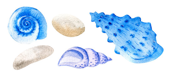 Three watercolor seashells and pebbles hand drawn isolated on white background. Marine clipart