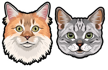 Realistic heads of domestic cats vector illustration