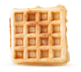 Freshly baked belgian waffles