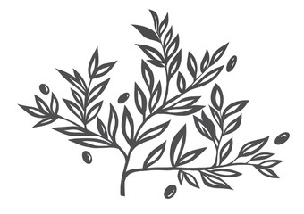 olive tree branch