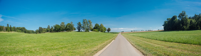 Long road without cars. Quiet nature scene without people. Panorama rural green landscape