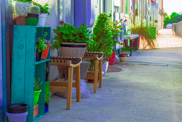 Fototapeta na wymiar Wooden stools with woven seats and potted plants and flowers make a colorful cozy seating area outside an old warehouse. With copy space.
