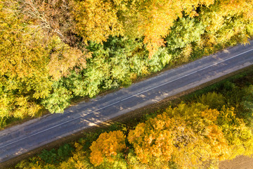 Aerial view of empty road between yellow fall trees.