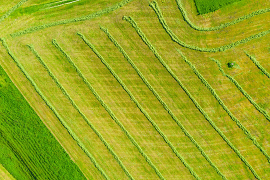 Drone view of green mowed field in spring
