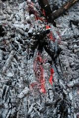 fire in the woods