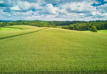 Aerial Drone images of Amish country cornfields in Pennsylvania countryside showing the various patterns in the corn