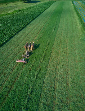 Three Horse Plow Team On A Amish Farm In Dutch Country As Seen From An Aerial Drone Image