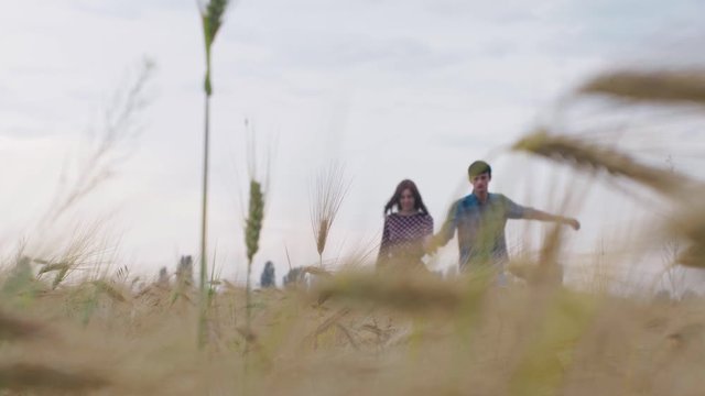 A couple in love walking on a green wheat field holding hands