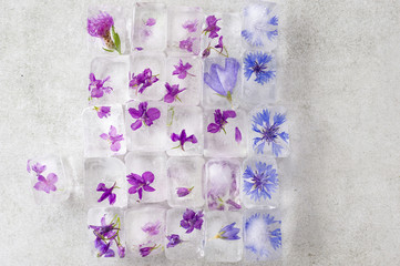  Floral ice cubes on the gray background.
