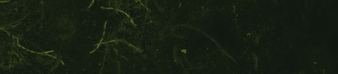 abstract black and dark green colors background for design