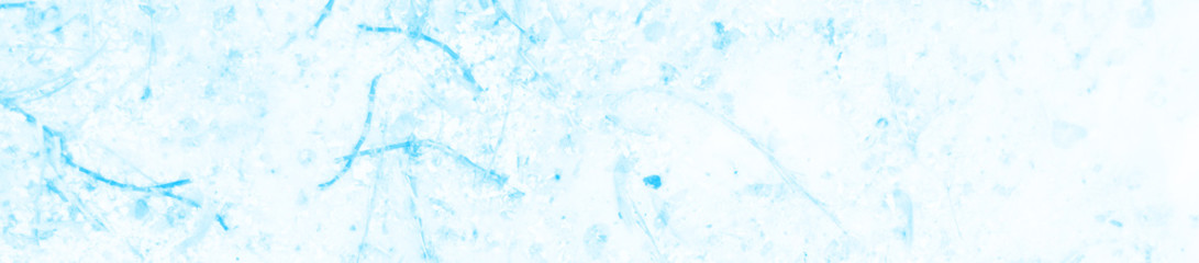 abstract light blue and white colors background for design