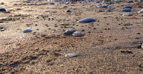 Low view across a warm sandy beach with pebbles and low evening sun