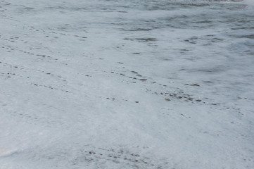 sea foam on the beach