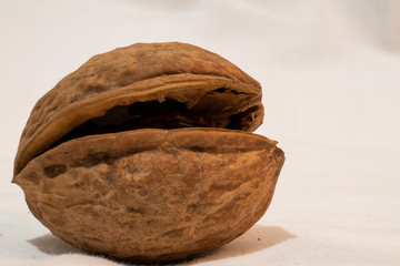 Close up view of walnut on white background