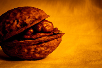 Close up view of walnut