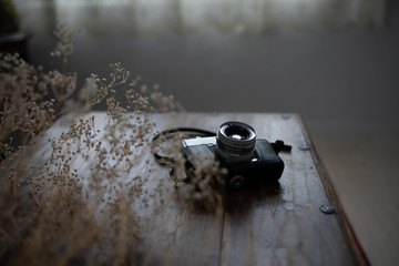 カメラとカスミソウ