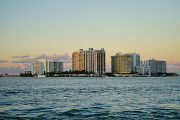 Plakat Miami downtown skyscrapers at sun set