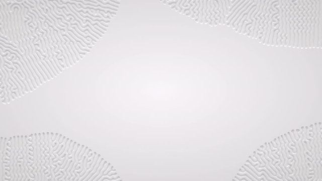 Reaction diffusion organic growing pattern. Turing system science background.