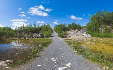 Fototapeta premium Path through the swamp in the forest. muddy pond. pile of stones. sunny landscape