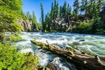 Wall stickers Forest river Deschutes River, Bend Oregon