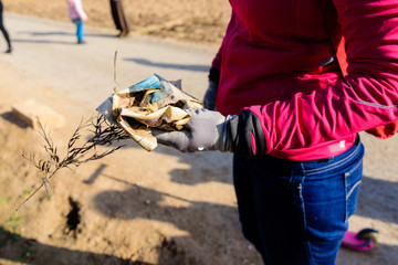 Group of activists clean and collect garbage from nature to keep the pollution environment clean