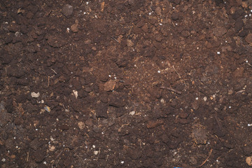 Old soil from under house plant