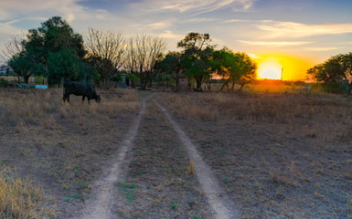 pequeña casa de campo al atardecer