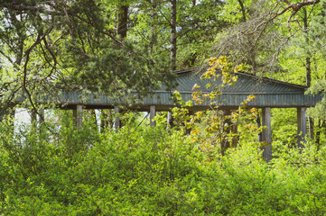 Wooden building among lush foliage. green plants