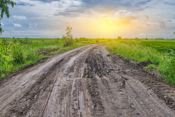 Fototapeta na wymiar Wheel tracks in the soil. Country road Natural Morning landscape