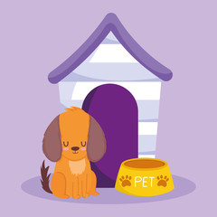 pet shop, dog sitting with bowl and house animal domestic cartoon