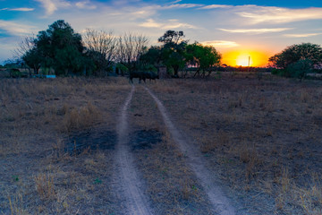 pequeña casa de campo al atardecer