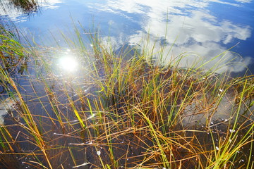 everglades national park landscape	
