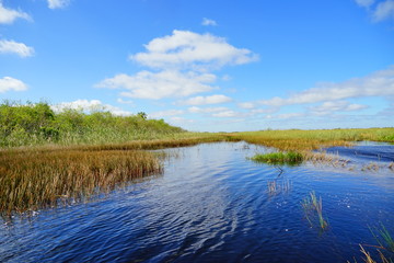 everglades national park landscape	
