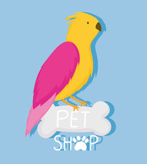 pet shop, cute bird animal domestic cartoon bone emblem