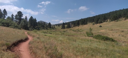 Fototapeta premium trail on the prairie