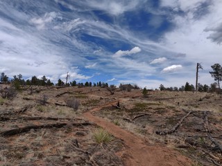 Trail with a blue sky