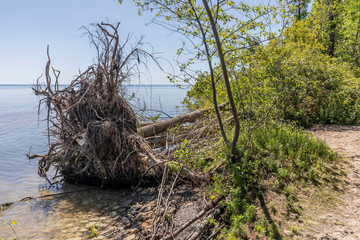 Erosion of the shores of Lake Michigan at elevated lake water levels