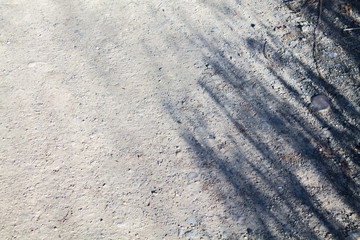 Asphalt texture with shadow from branches. Gray background with stones.
