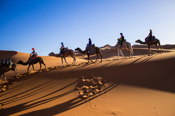 Turistas montando dromedarios en el desierto