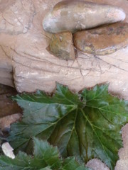 piedras