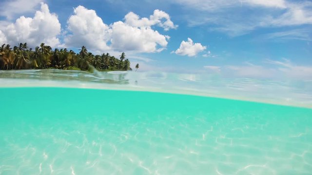 Slow motion split view half underwater crystal azure calm sea surface with white sand at the bottom and palm trees on the shore of idyllic wild tropical beach. Vacation and rest in paradise.