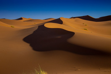 Fototapeta na wymiar El camino del Sahara