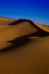 Las dunas del desierto