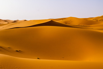 El calor del Sahara